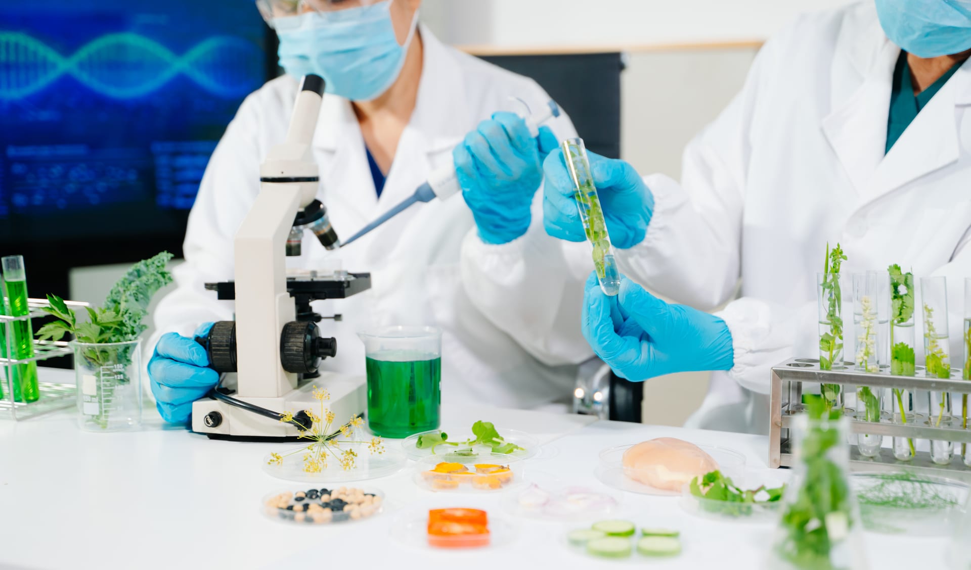 MaxPortal e-commerce platform replacing a slow in-house ordering system