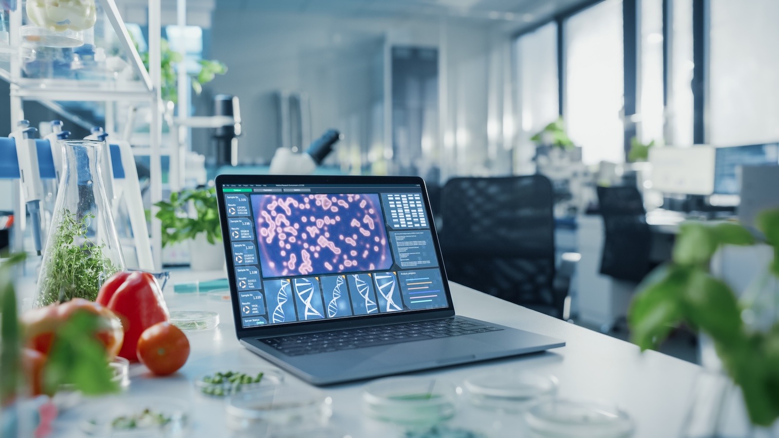 Shot of a Laptop Computer with Display Showing Gene Editing Interface in Modern Labolatory. Bright Modern Food Laboratory with Advanced Technological Equipment.